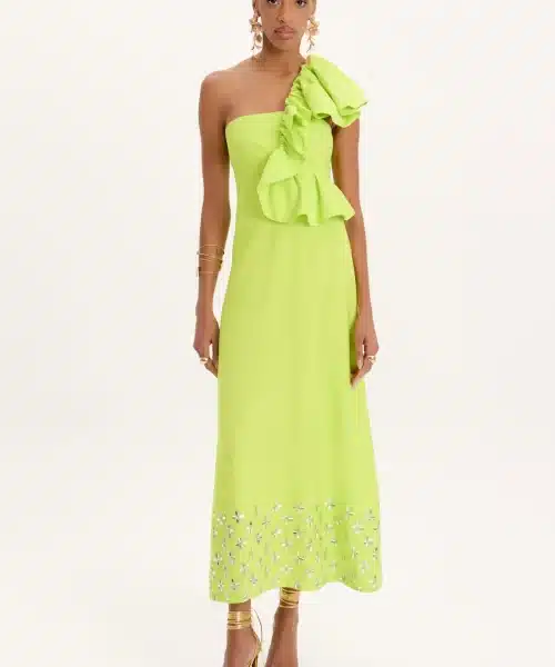AMARANTE do BRAZIL Long Dress